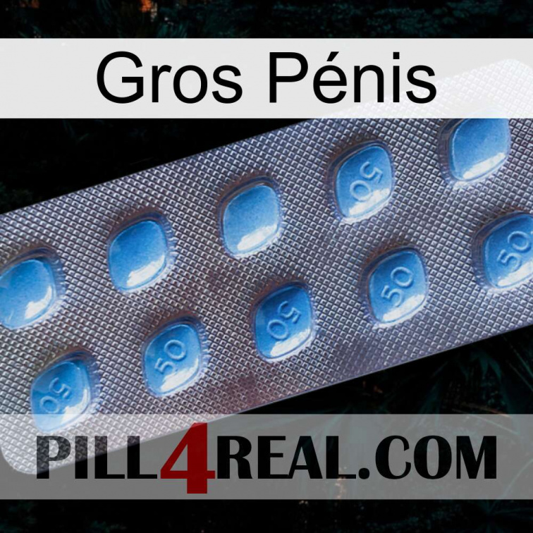 Gros Pénis viagra3